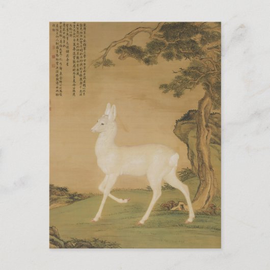 Antieke Chinese keizerlijke kunst witte herten sch Briefkaart (Voorkant)