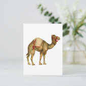 Antieke circusoptredende kameel briefkaart (Staand voorkant)