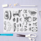 Antieke Collage Decoupage Apotheker Apotheek Tissuepapier (Craft)