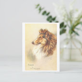 Antieke Collie Ansichtkaart Briefkaart (Staand voorkant)