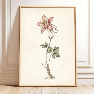 Antieke Columbine Botanische Boerderij Kunst Poster