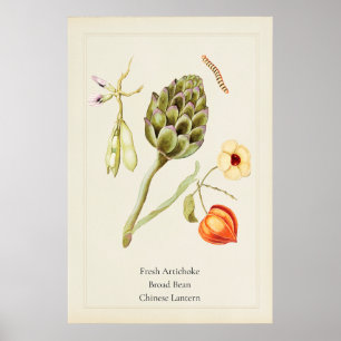 Antieke Culinaire Artisjok Botanische Kunstprint Poster