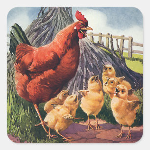 Antieke dieren, kip met kuikens op de boerderij vierkante sticker