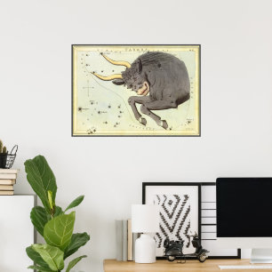 Antieke Dierenriem Astrologie Stier Sterrenbeeld Poster