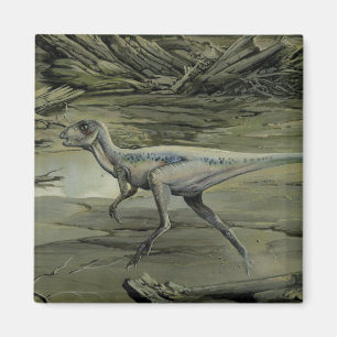 Antieke dinosauriërs, een Krijt Hypsilophodon Magneet