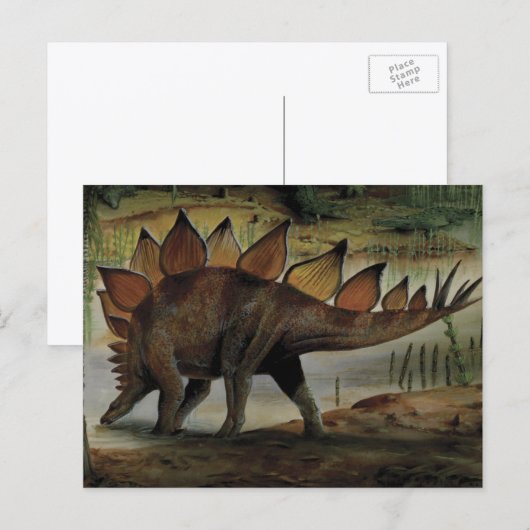 Antieke dinosauriërs, Stegosaurus, staart met stek Briefkaart (Voorkant / Achterkant)