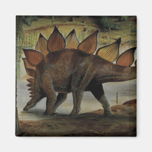 Antieke dinosauriërs, Stegosaurus, staart met stek Magneet