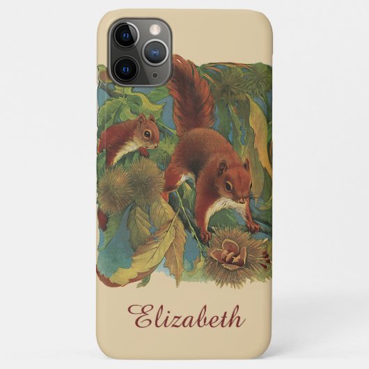 Antieke eekhoorns, bosdieren, wilde dieren Case-Mate iPhone case (Achterkant)