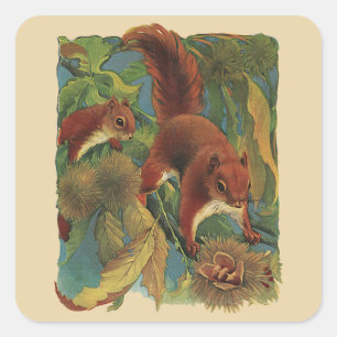 Antieke eekhoorns, bosdieren, wilde dieren vierkante sticker
