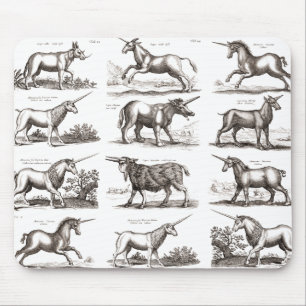Antieke Eenhoorn Gravure Vintage Zoölogie Specimen Muismat