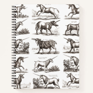 Antieke Eenhoorn Gravure Vintage Zoölogie Specimen Notitieboek