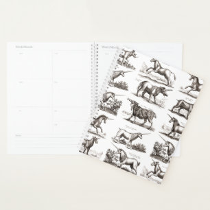 Antieke Eenhoorn Gravure Vintage Zoölogie Specimen Planner
