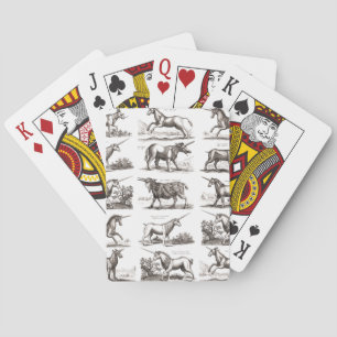 Antieke Eenhoring Gravure Vintage Zoölogie Specime Pokerkaarten