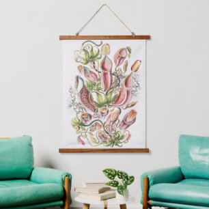 Antieke Ernst Haeckel Botanische Pitcher Plant Hangend Wandkleed