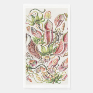 Antieke Ernst Haeckel Botanische Pitcher Plant Servet