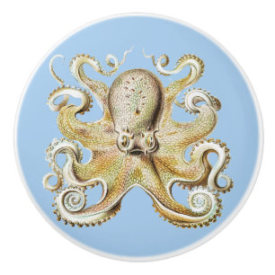 Antieke Ernst Haeckel Octopus Zeevaart Zeeleven Keramische Knop