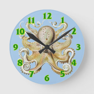 Antieke Ernst Haeckel Octopus Zeevaart Zeeleven Ronde Klok