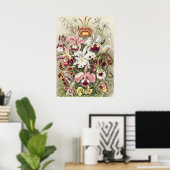Antieke Ernst Haeckel Orchidee Botanische Print (Thuiskantoor)