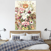 Antieke Ernst Haeckel Orchidee Botanische Print (Insitu (Slaapkamer))