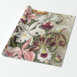 Antieke Ernst Haeckel Orchidee Botanische Print Cadeaupapier