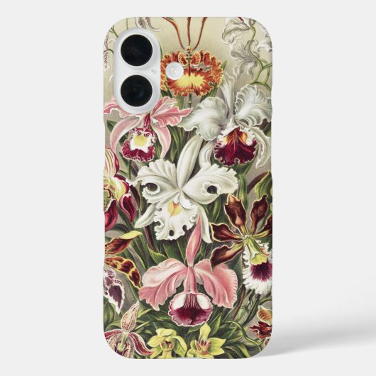 Antieke Ernst Haeckel Orchidee Botanische Print Case-Mate iPhone Case (Achterkant)