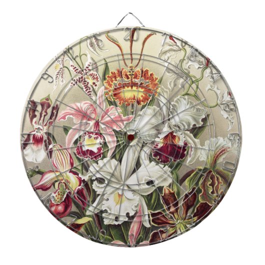 Antieke Ernst Haeckel Orchidee Botanische Print Dartbord (Voorkant)