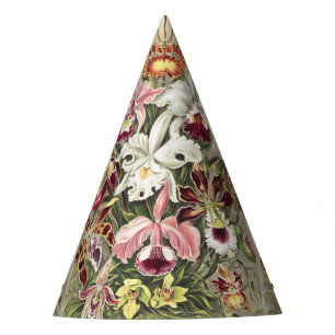 Antieke Ernst Haeckel Orchidee Botanische Print Feesthoedjes