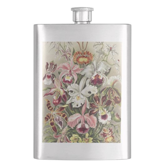 Antieke Ernst Haeckel Orchidee Botanische Print Flacon (Voorkant)