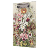 Antieke Ernst Haeckel Orchidee Botanische Print Klembord (Links)