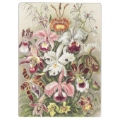Antieke Ernst Haeckel Orchidee Botanische Print Klembord (Achterkant)
