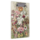 Antieke Ernst Haeckel Orchidee Botanische Print Klembord (Rechts)