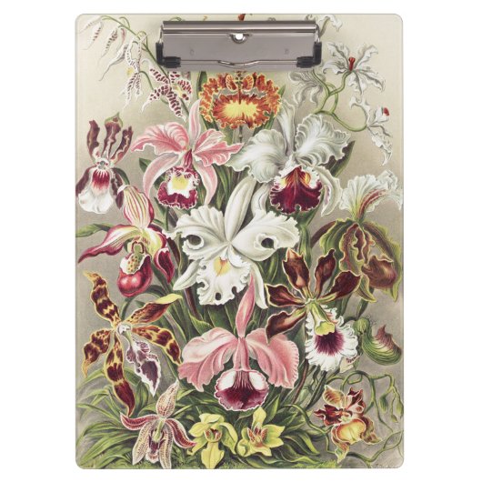 Antieke Ernst Haeckel Orchidee Botanische Print Klembord (Voorkant)