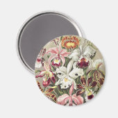 Antieke Ernst Haeckel Orchidee Botanische Print Magneet (Voorkant / Achterkant)