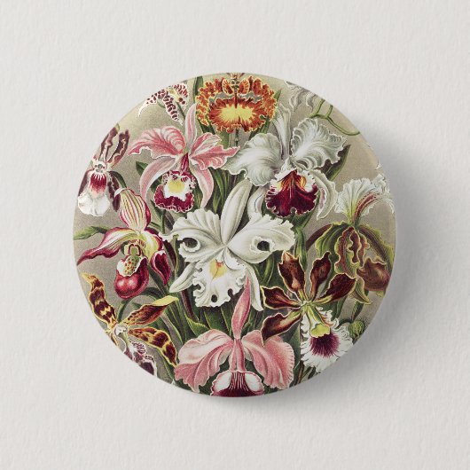 Antieke Ernst Haeckel Orchidee Botanische Print Ronde Button 5,7 Cm (Voorkant)