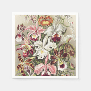 Antieke Ernst Haeckel Orchidee Botanische Print Servet