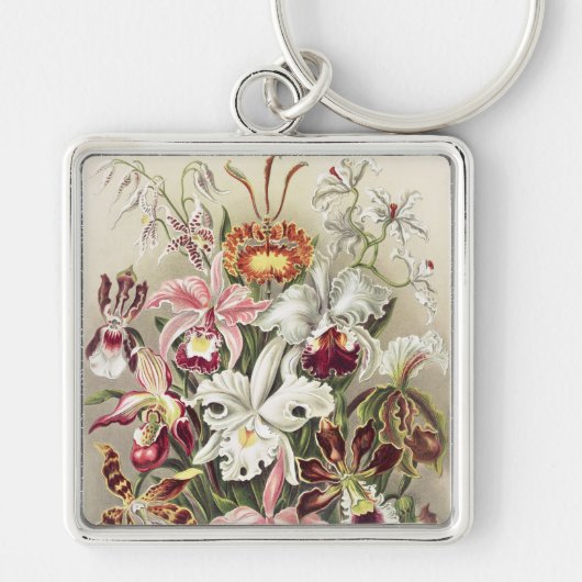 Antieke Ernst Haeckel Orchidee Botanische Print Sleutelhanger (Voorkant)