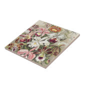 Antieke Ernst Haeckel Orchidee Botanische Print Tegeltje (Zijkant)