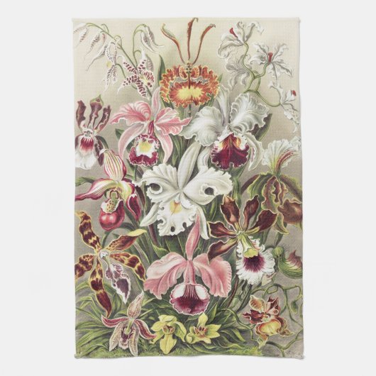 Antieke Ernst Haeckel Orchidee Botanische Print Theedoek (Verticaal)