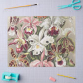 Antieke Ernst Haeckel Orchidee Botanische Print Tissuepapier (Craft)