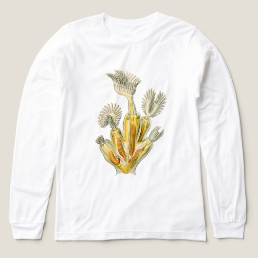 Antieke Ernst Haeckel Tri-Blend Shirt (Voorkant)
