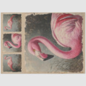 Antieke Flamingo Botanische Decoupage Tissuepapier (Voorkant)