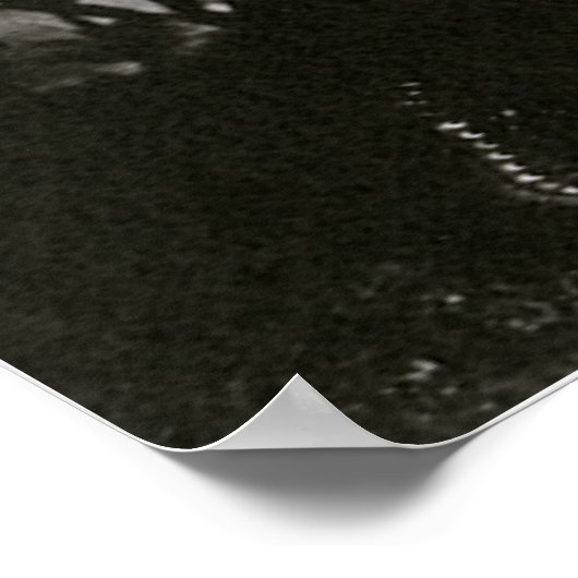 Antieke foto, sport Chicago-honkbalspeler Poster (Hoek)