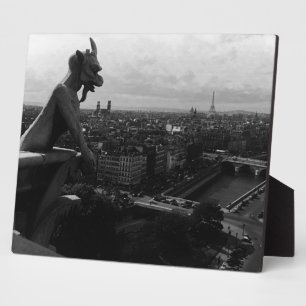 Antieke Frankrijk Parijs Notre Dame Kathedraal dui Fotoplaat