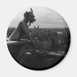 Antieke Frankrijk Parijs Notre Dame Kathedraal dui Magneet