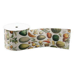 Antieke Franse botanische fruitposter kunst Grosgrain Lint