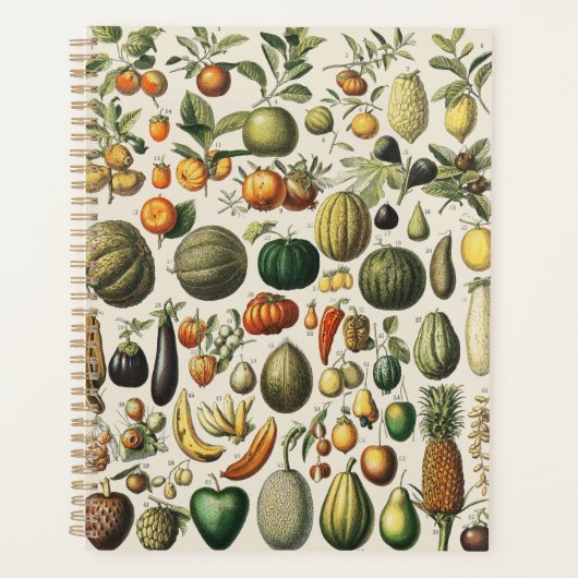 Antieke Franse botanische fruitposter kunst Planner (Voorkant)