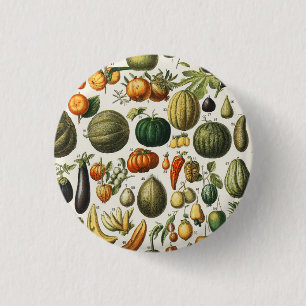 Antieke Franse botanische fruitposter kunst Ronde Button 3,2 Cm