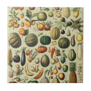 Antieke Franse botanische fruitposter kunst Tegeltje