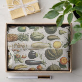 Antieke Franse botanische fruitposter kunst Tissuepapier (Geschenk)