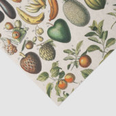 Antieke Franse botanische fruitposter kunst Tissuepapier (Detail)